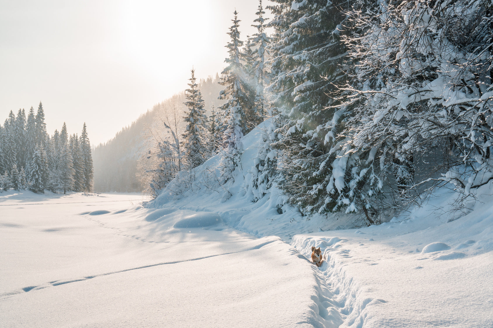 Winter