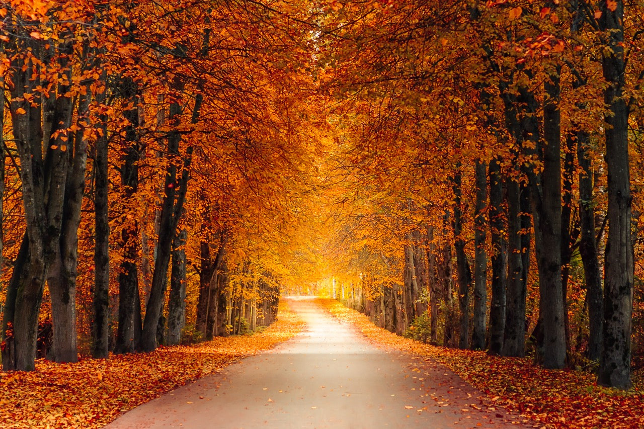 Fall