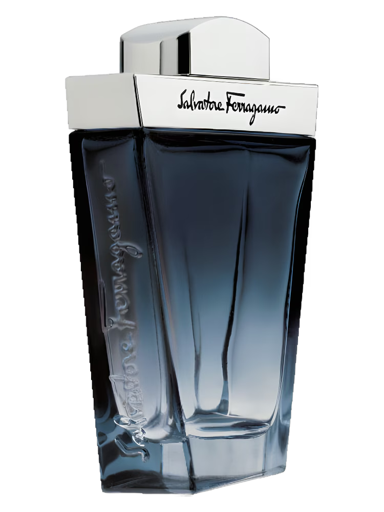 Salvatore Ferragamo Subtil Pour Homme EDT